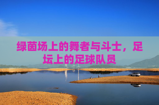 绿茵场上的舞者与斗士,足坛上的足球队员