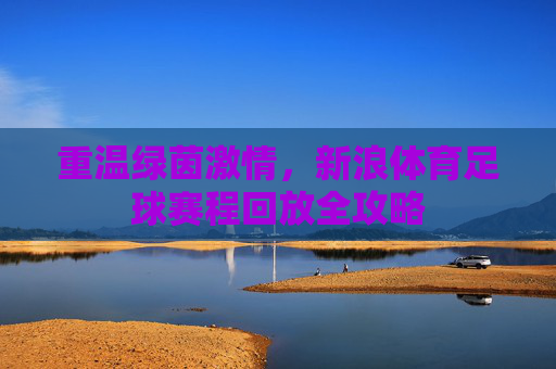 重温绿茵激情,新浪体育足球赛程回放全攻略