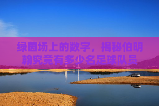 绿茵场上的数字,揭秘伯明翰究竟有多少名足球队员