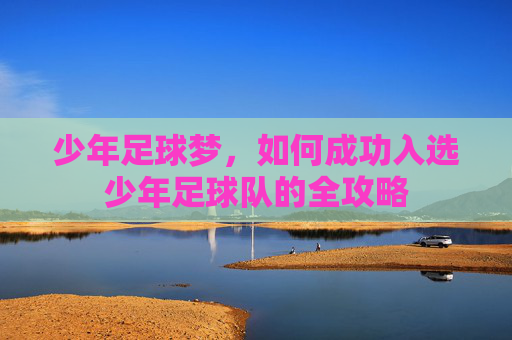 少年足球梦,如何成功入选少年足球队的全攻略