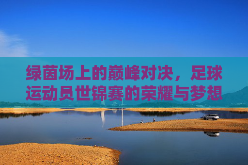 绿茵场上的巅峰对决,足球运动员世锦赛的荣耀与梦想
