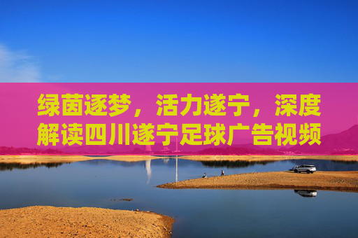 绿茵逐梦,活力遂宁,深度解读四川遂宁足球广告视频