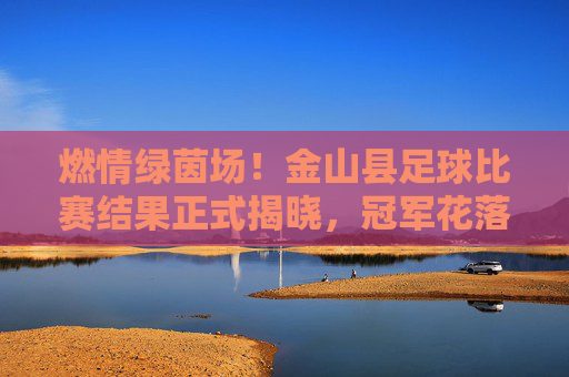 燃情绿茵场!金山县足球比赛结果正式揭晓,冠军花落谁家?