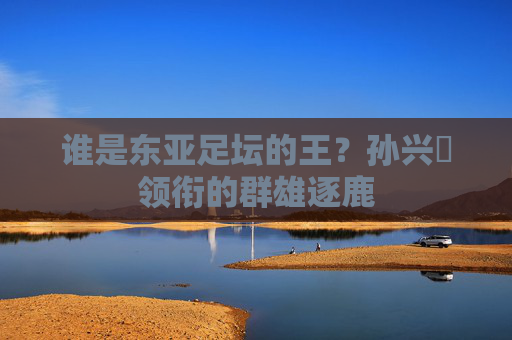 谁是东亚足坛的王?孙兴慜领衔的群雄逐鹿