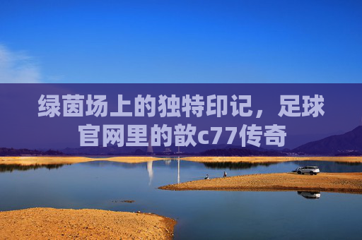 绿茵场上的独特印记,足球官网里的歆c77传奇