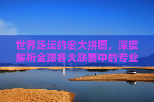 世界足坛的宏大拼图,深度解析全球各大联赛中的专业足球队