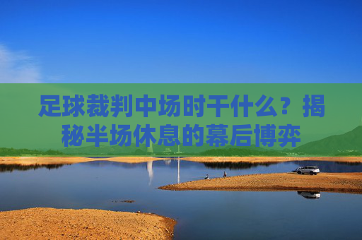 足球裁判中场时干什么？揭秘半场休息的幕后博弈