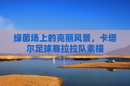 绿茵场上的亮丽风景，卡塔尔足球赛拉拉队素描