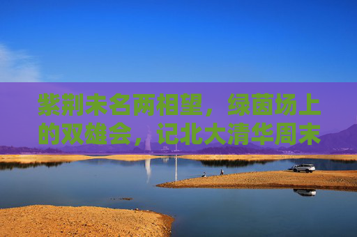 紫荆未名两相望，绿茵场上的双雄会，记北大清华周末足球队