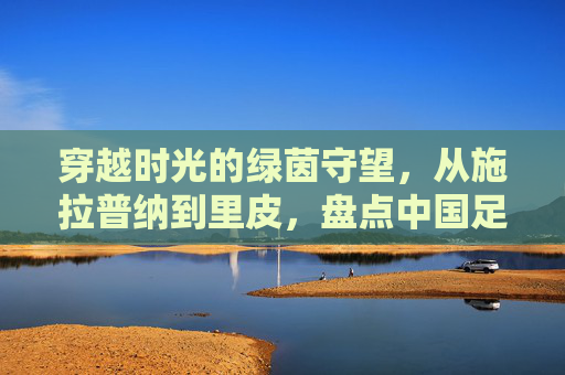 穿越时光的绿茵守望，从施拉普纳到里皮，盘点中国足球历届教练视频里的悲喜人生