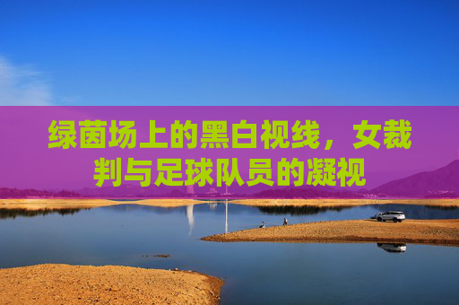 绿茵场上的黑白视线,女裁判与足球队员的凝视