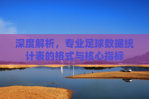 深度解析，专业足球数据统计表的格式与核心指标