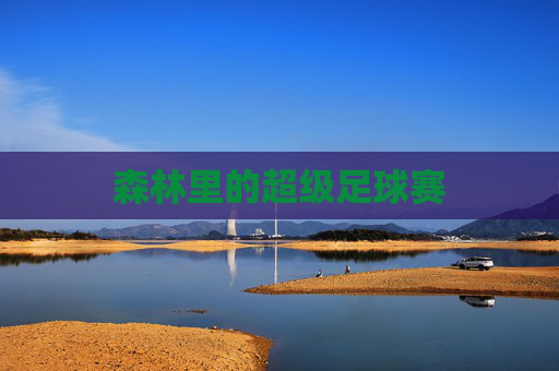 森林里的超级足球赛
