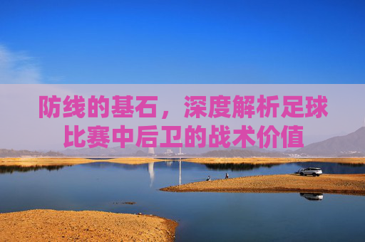 防线的基石,深度解析足球比赛中后卫的战术价值