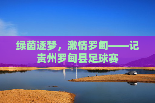 绿茵逐梦,激情罗甸——记贵州罗甸县足球赛