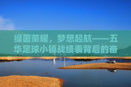绿茵荣耀,梦想起航——五华足球小镇战绩表背后的奋斗与辉煌