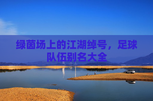 绿茵场上的江湖绰号,足球队伍别名大全