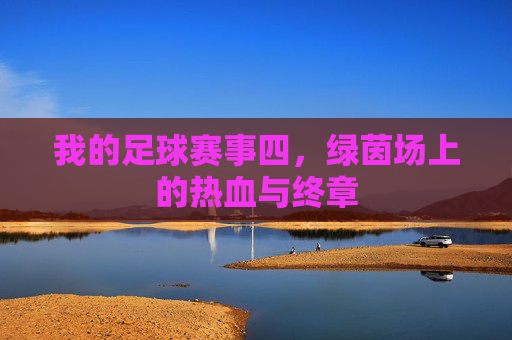 我的足球赛事四,绿茵场上的热血与终章