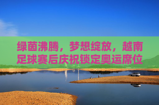 绿茵沸腾,梦想绽放,越南足球赛后庆祝锁定奥运席位
