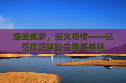 绿茵筑梦,薪火相传——记重庆足球协会教练林林