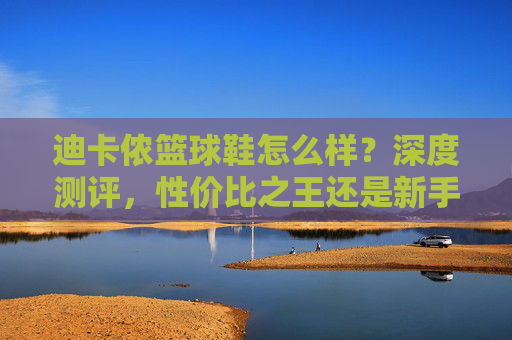迪卡侬篮球鞋怎么样？深度测评，性价比之王还是新手入门首选？