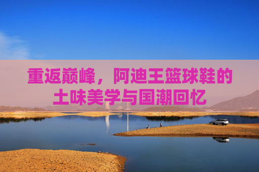 重返巅峰，阿迪王篮球鞋的土味美学与国潮回忆