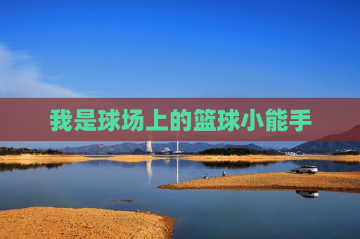 我是球场上的篮球小能手