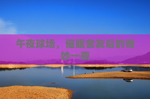 午夜球场，催眠舍友后的奇妙一夜