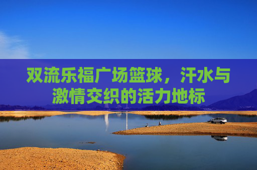 双流乐福广场篮球，汗水与激情交织的活力地标