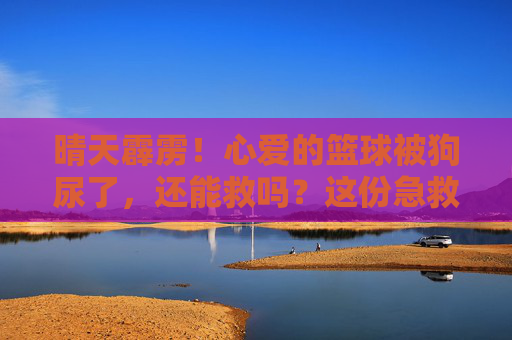 晴天霹雳！心爱的篮球被狗尿了，还能救吗？这份急救指南请收好！