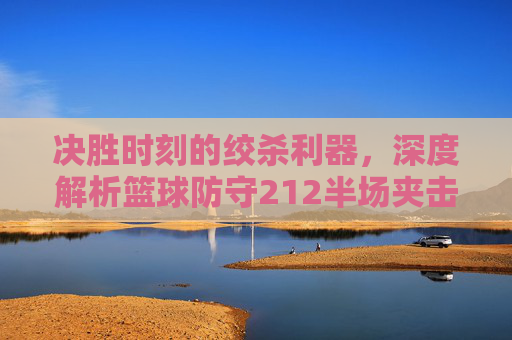 决胜时刻的绞杀利器，深度解析篮球防守212半场夹击战术