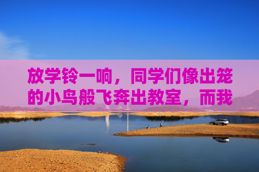 放学铃一响，同学们像出笼的小鸟般飞奔出教室，而我，心里早已装满了一件事——直奔篮球场。我对篮球，那是真真切切的入了迷