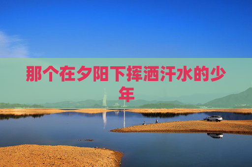 那个在夕阳下挥洒汗水的少年