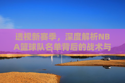 透视新赛季，深度解析NBA篮球队名单背后的战术与机遇