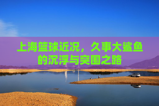 上海篮球近况,久事大鲨鱼的沉浮与突围之路