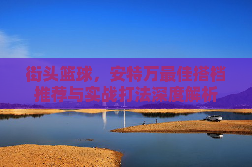 街头篮球，安特万最佳搭档推荐与实战打法深度解析