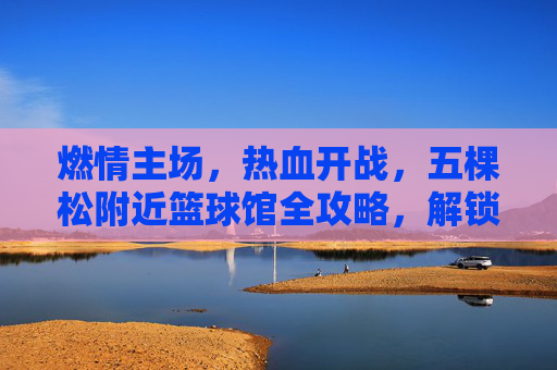 燃情主场，热血开战，五棵松附近篮球馆全攻略，解锁你的篮球圣地