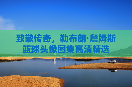 致敬传奇，勒布朗·詹姆斯篮球头像图集高清精选