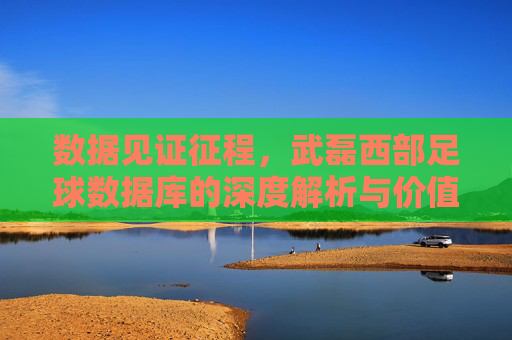 数据见证征程,武磊西部足球数据库的深度解析与价值重塑