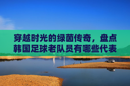 穿越时光的绿茵传奇,盘点韩国足球老队员有哪些代表性人物