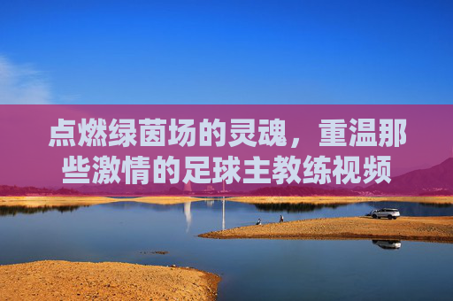 点燃绿茵场的灵魂，重温那些激情的足球主教练视频