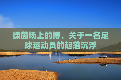绿茵场上的博,关于一名足球运动员的起落沉浮