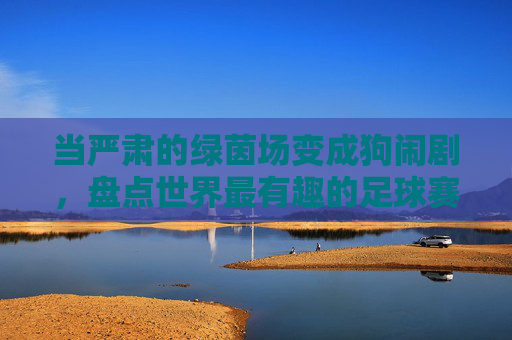 当严肃的绿茵场变成狗闹剧，盘点世界最有趣的足球赛