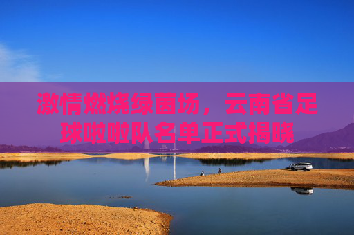 激情燃烧绿茵场，云南省足球啦啦队名单正式揭晓