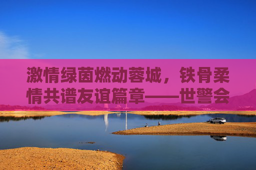激情绿茵燃动蓉城，铁骨柔情共谱友谊篇章——世警会足球比赛精彩回顾
