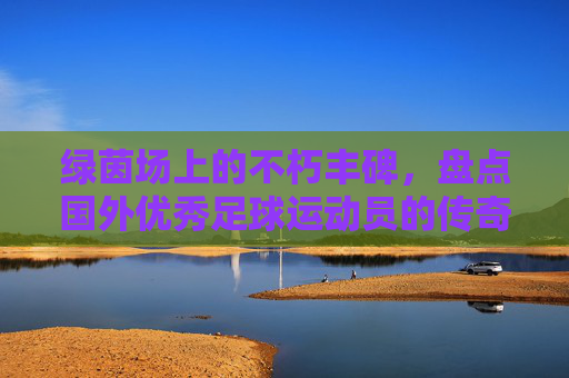 绿茵场上的不朽丰碑，盘点国外优秀足球运动员的传奇事迹