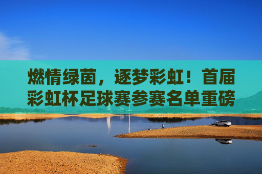 燃情绿茵，逐梦彩虹！首届彩虹杯足球赛参赛名单重磅出炉