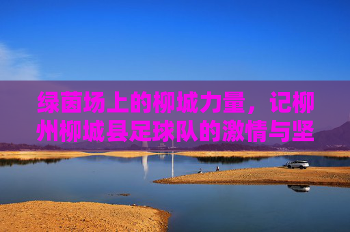 绿茵场上的柳城力量,记柳州柳城县足球队的激情与坚守