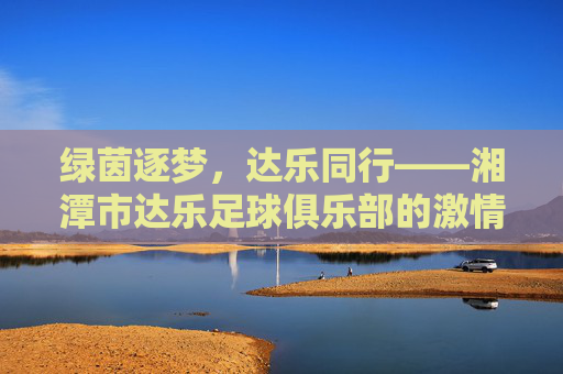 绿茵逐梦，达乐同行——湘潭市达乐足球俱乐部的激情与坚守