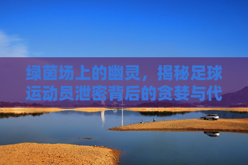 绿茵场上的幽灵,揭秘足球运动员泄密背后的贪婪与代价